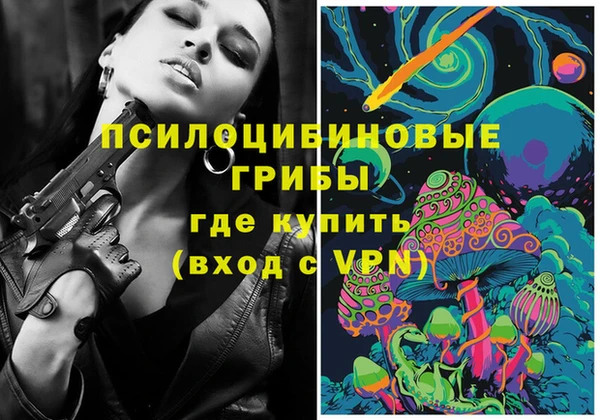 ECSTASY Абаза
