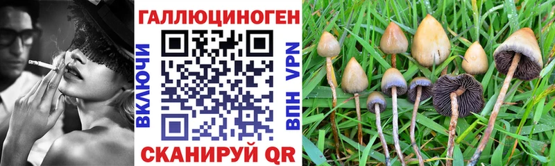 Галлюциногенные грибы Magic Shrooms  даркнет сайт  Сычёвка 